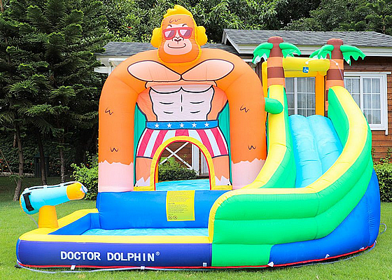 ���� ��� ����� ����� ���� ������+ �����+��� �����+���� ���, ��� 73008 DOCTOR DOLPHIN ������ ������